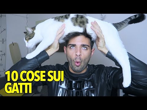 Quello che le donne incinte possono applicare da eczema Risposte di eczema di asd-2