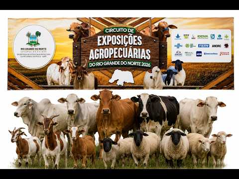 Caprifeira Afonso Bezerra RN 2026