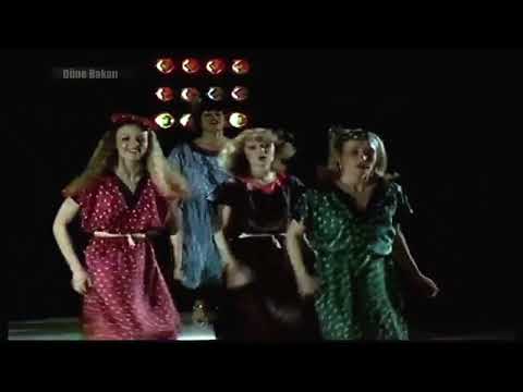 Şenay / Gerçek Nerede ( 1974 ) (  Yeni )