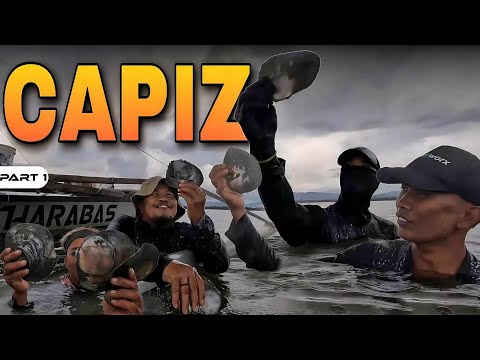 P1-CAPIZ FORAGE AND COOK - EP1133