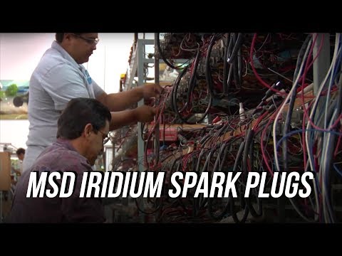 MSD Iridium Spark Plugs