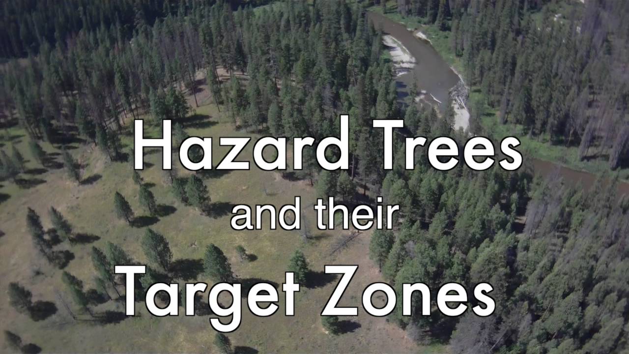 Tree Hazards and Target Avoidance