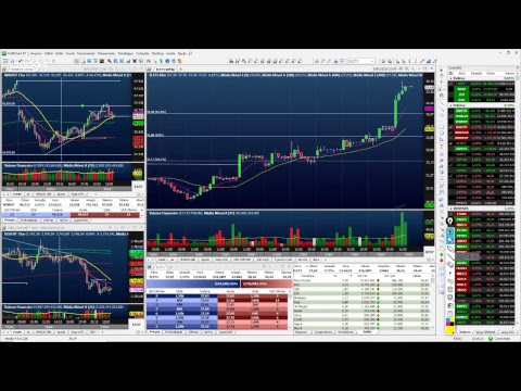Palinha do Palex - dia 29 janeiro de 2019 - MANHÃ