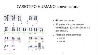 Anomalías cromosómicas (Parte 1) - Profundizaciones