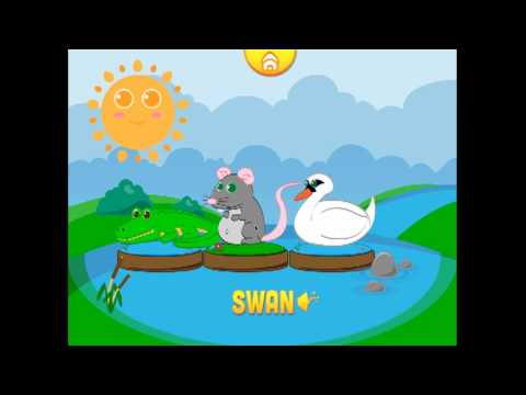 Funny Animals for babies Free Video