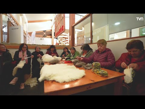 Innovadores Invisibles en NTV: Tejedoras Ismael Cochrane