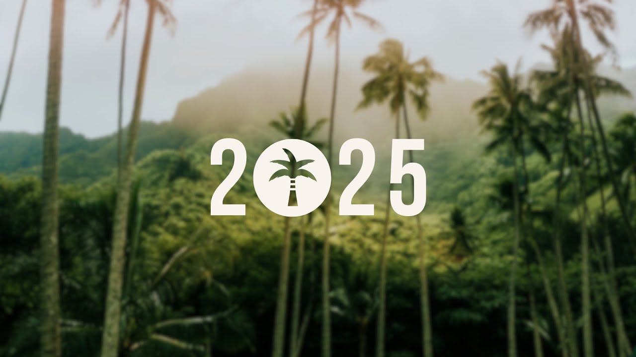 2025 Recap - Kāula Tree