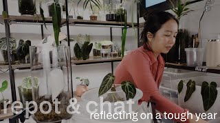 Finally ready to talk about it | Reflecting & Moving forward