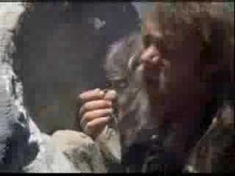 Ecco come è nata la ruota