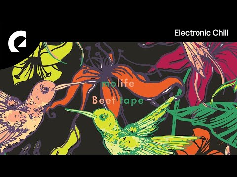 Molife - Piece Of Streets (Royalty Free Music)