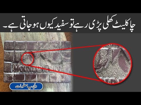 chocolate bad for health | Amzing Information in urdu/Hindi | interesting information | H.Stories.