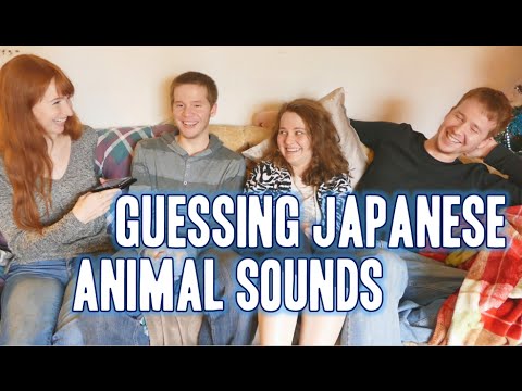 Guessing Japanese animal sounds 日本語で動物の鳴き声当て (Guessing Japanese animal sounds 日本語で動物の鳴き声当て)
