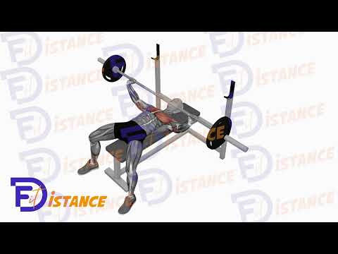 Exercice Développé couché à la barre prise large