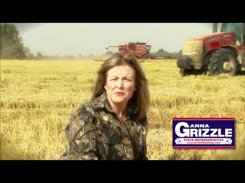 Anna Grizzle - Hunting for Jobs