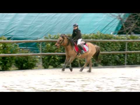 comment s'inscrire dans un centre equestre