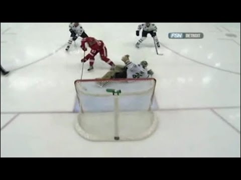 Johan Franzen Goals (2007-2008)