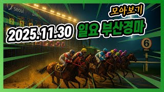 2025년 11월 30일 일요 부산경마 전체경주 모아보기