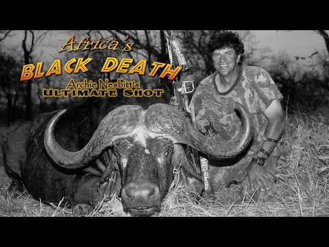 , title : 'Africa’s Black Death: Cape Buffalo - killer cape buffalo vs ultimate predator - AI enhanced video'