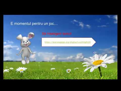 Lecții online, Comunicare în limba română, cl a II-a, ,,Textul literar”, Ionescu  Daniela