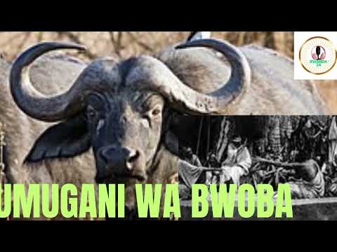 UMUGANI WA BWOBA