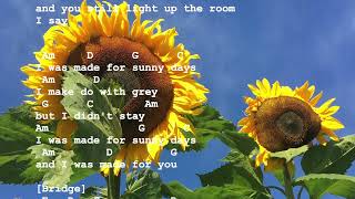 I Was Made for Sunny Days- originally by the Weepies. Simple guitar lyrics and chords.  Capo Fret 4