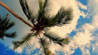 ALBERTO CORTEZ - Las Palmeras