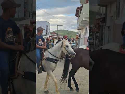 Cavalgada da Alvorada em Itarantim -BA #cavalo #itarantim #bahia #mangalargamarchador 