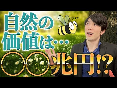 自然資本について詳しく解説