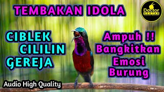Download lagu BONGKAR MATERI ! KONIN GACOR FULL ISIAN TEMBAKAN CIBLEK, CILILIN, GEREJA TARUNG COCOK BUAT MASTERAN mp3