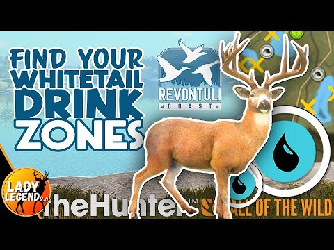 How to Find ALL of Your WHITETAIL DRINK ZONES (Detailed Zone Guide)!!! - Call of the Wild