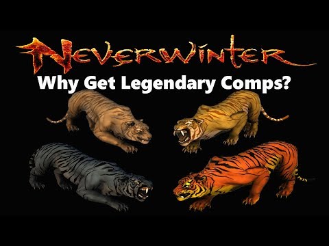 Neverwinter - Why Should You Get Legendary Companions?