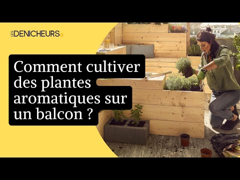 , title : '🌾 Cultiver et entretenir les plantes aromatiques sur un balcon 🌺 🌹  🌷'