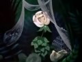 Alice In Wonderland Flower S Song