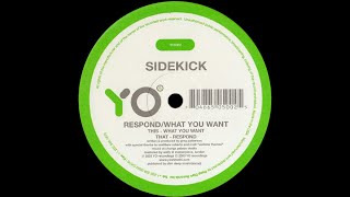 Sidekick – What You Want (Original Mix)