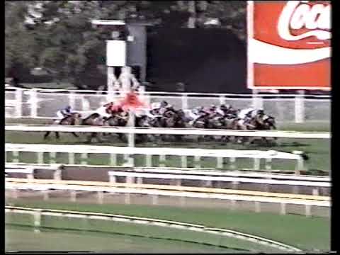 1991 Queensland Derby