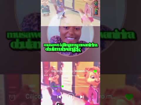 musawo lyrics cilicon avokoz xerolyrics