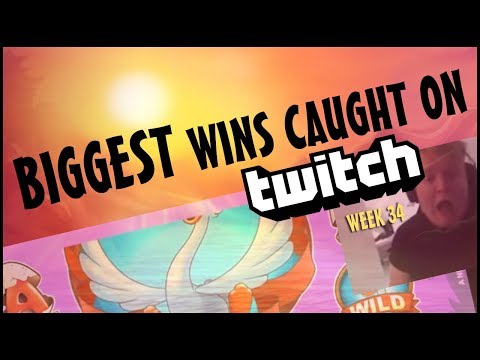Biggest wins caught on Twitch #42 (BIG EDITION) - (Week 34/2017)