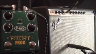 Video thumbnail for T-Rex Crunchy Frog by StompCentraldotcom