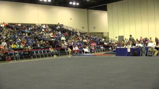 Morgan Hunker Lv10 Universal, Floor 2015CircleofStars