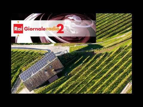 RAI GR 2 - Decreto agricoltura sul tavolo. Il presidente di Cia per lo stop al fotovoltaico sui terreni coltivati