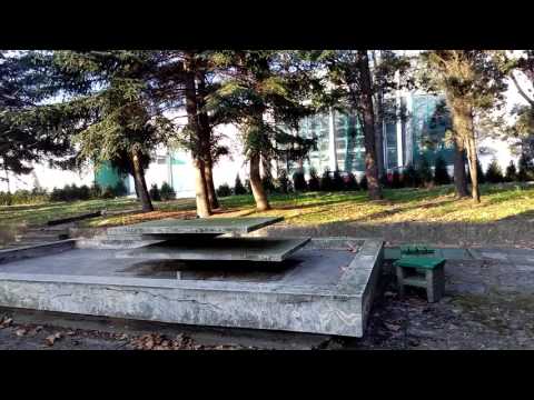 ZTE Axon Mini Sample Video