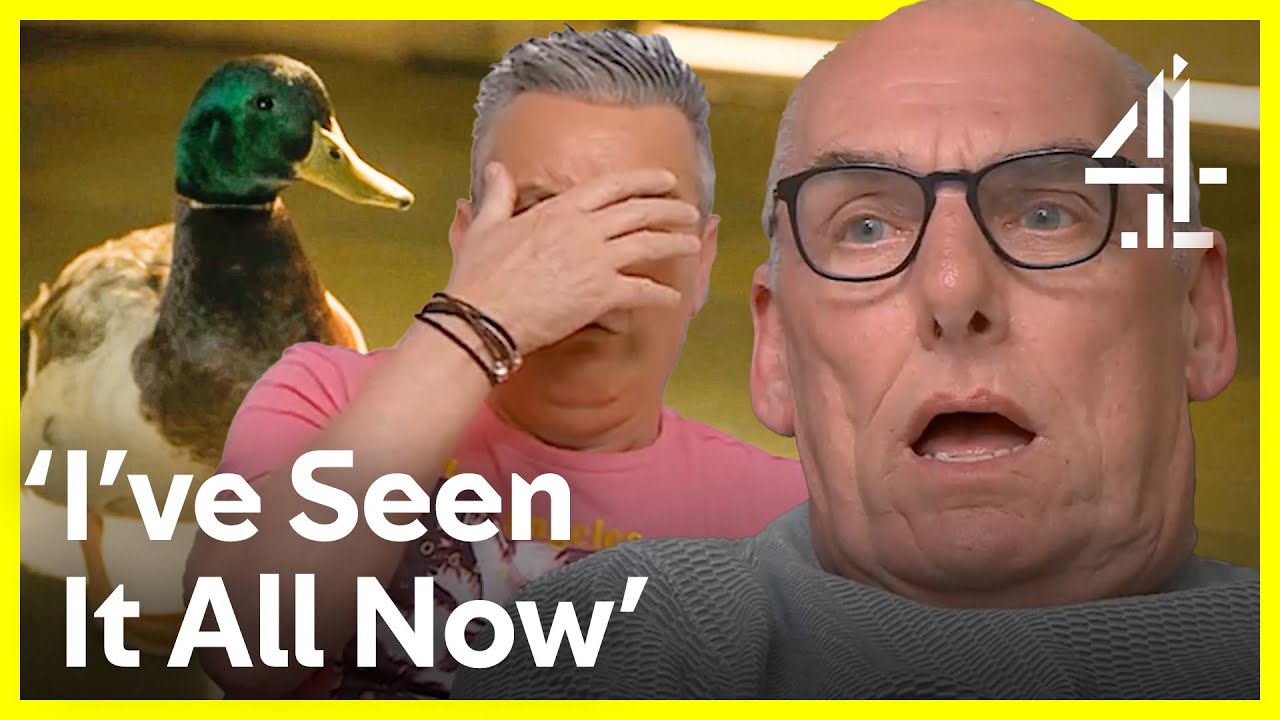 Larry The Duck Ruffles Feathers In Shocking Nsfw Clip Gogglebox