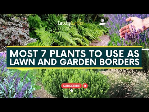 , title : 'Most 7 Plants to Use as Lawn and Garden Borders 🌷🌺 // Gardening Tips'