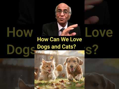 How can we love Dogs and Cats?  #hindu #sanatan #dog #cat #pets #animal