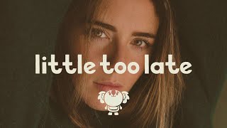 Ben Provencial - Little Too Late ft. Kevin Chung (lyrics)