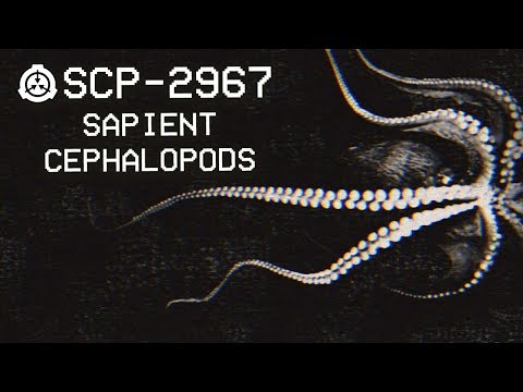 SCP-2967 - Sapient Cephalopods : Object Class - Euclid : Sentient SCP