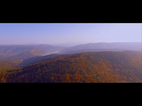 01.Szczuras - Odosobnienie