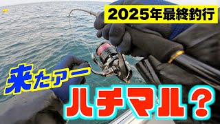 【真鯛】キタァ〜！リールからは煙が出て、ドラグは悲鳴を上げる😯あとはバレるか？獲るか？の勝負