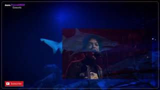 Prince Concert 69 | Screwdriver, Bambi - Jimmy Fallon Late Night (2013) ​⁠@duane.PrinceDMSR