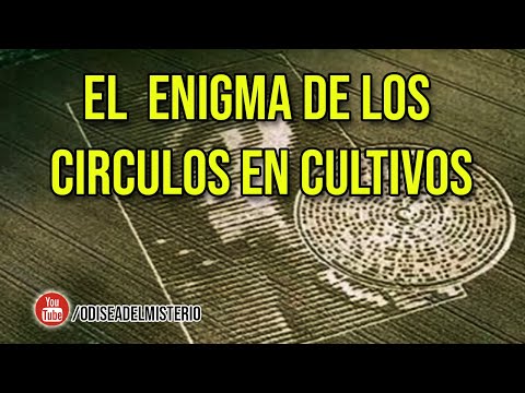 EL  ENIGMA DE LOS CIRCULOS EN CULTIVOS